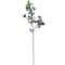 30" Blueberry & Leaf Stem by Ashland®